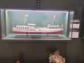 IMG-20251003-WA0038