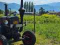 IMG-20240511-WA0025