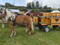 IMG-20250927-WA0015